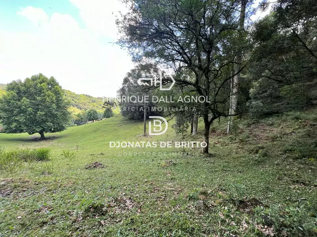 Comprar - Sítio