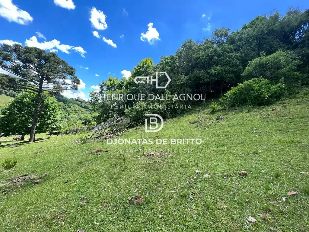 Comprar - Sítio