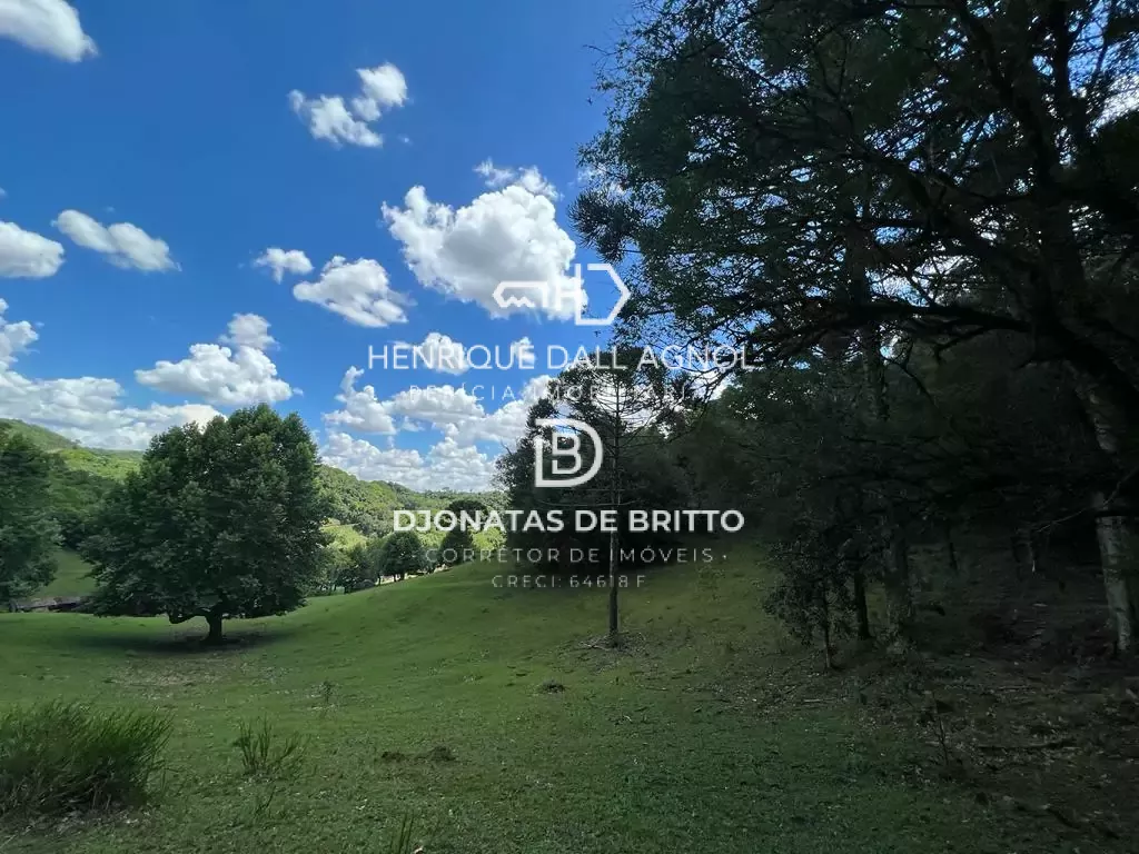 Comprar - Sítio