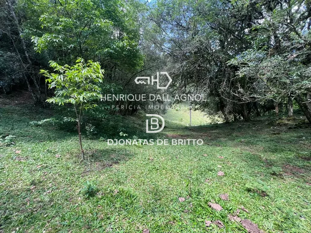 Comprar - Sítio