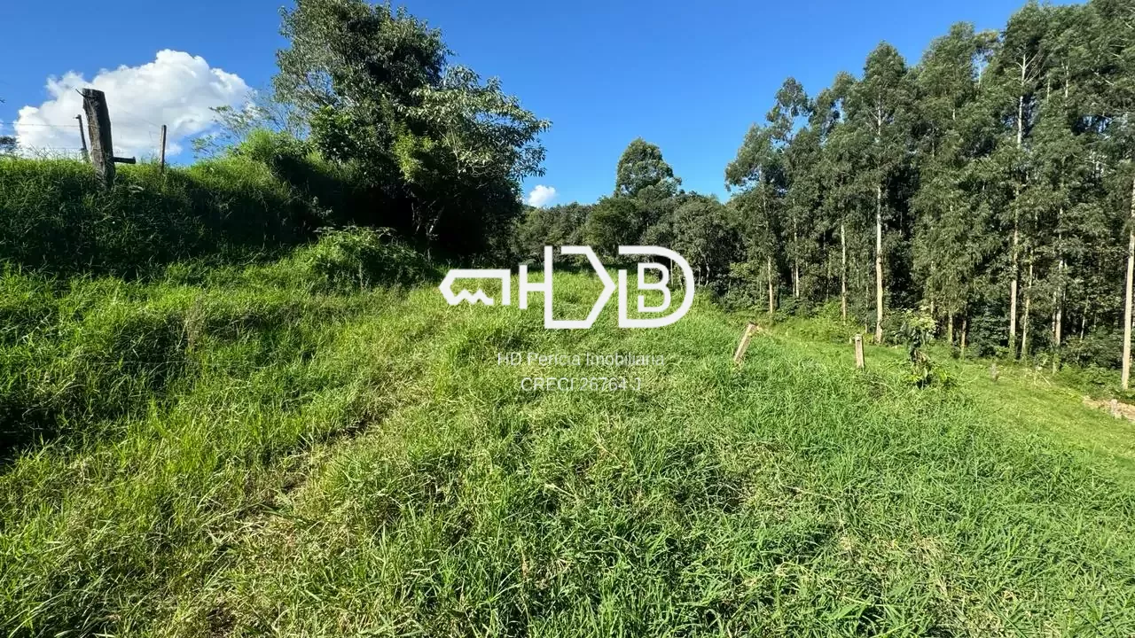 Comprar - Área para plantio