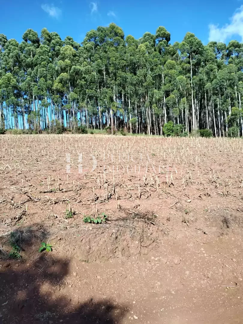 Comprar - Área para plantio