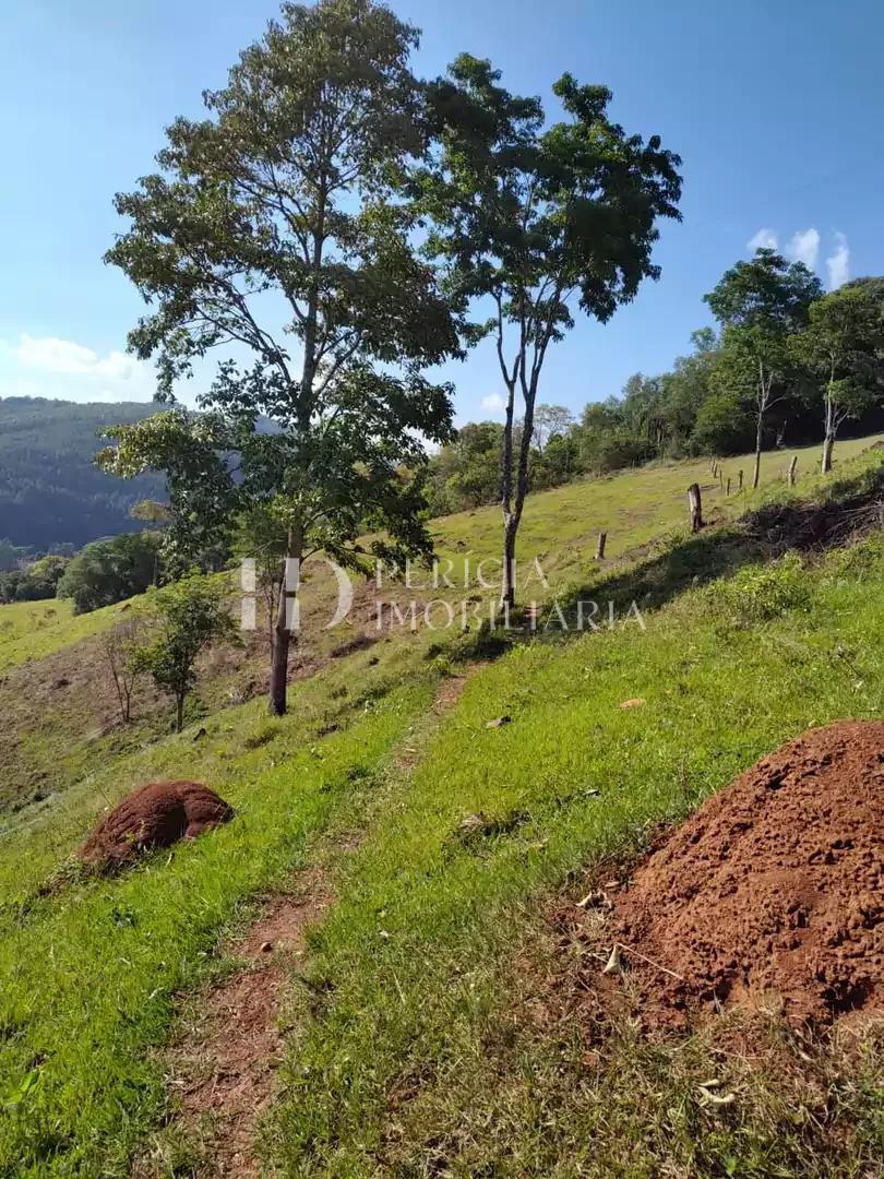 Comprar - Área para plantio