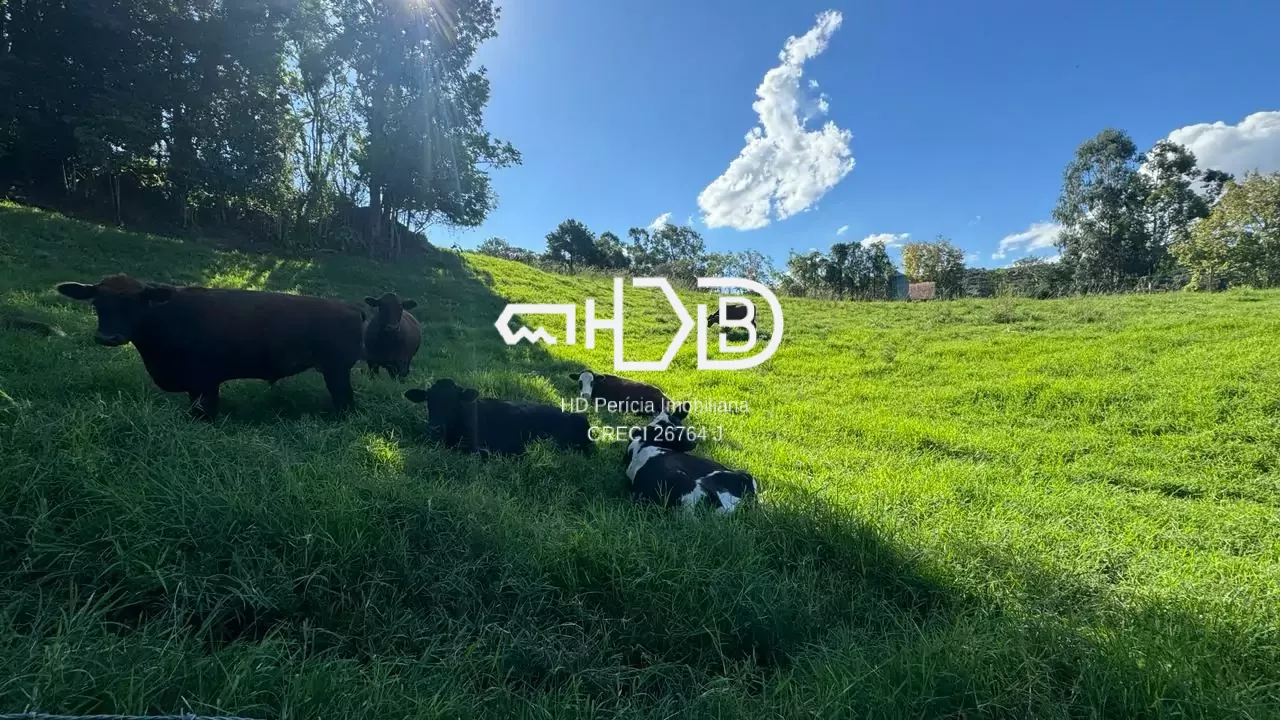 Comprar - Área para plantio