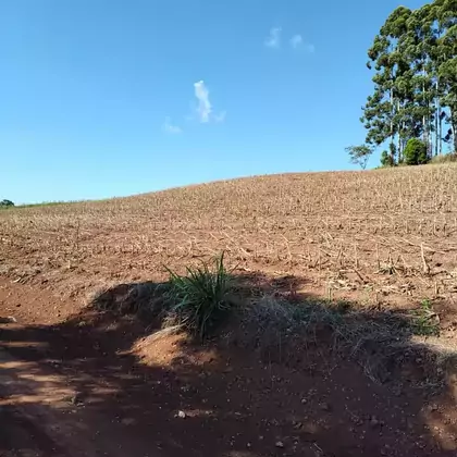 Comprar - Área para plantio