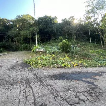 Comprar - Terreno