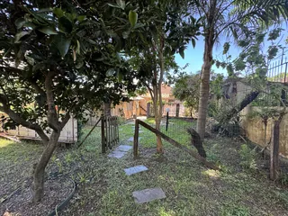 Comprar - Casa