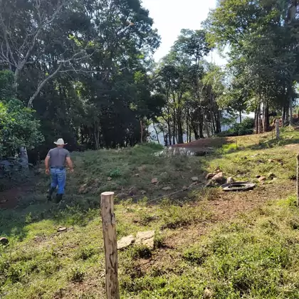 Comprar - Área para plantio