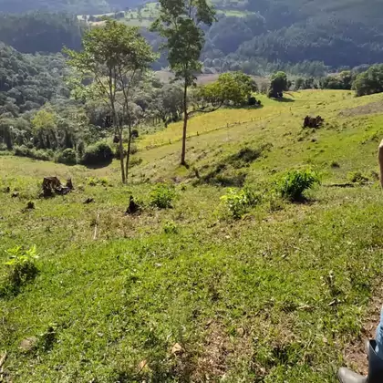 Comprar - Área para plantio