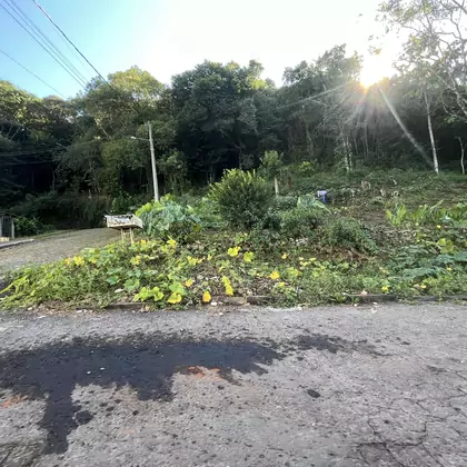 Comprar - Terreno