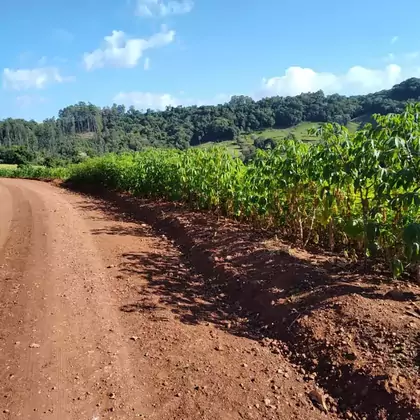 Comprar Área para plantio