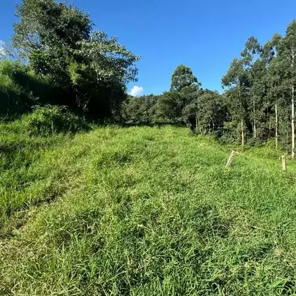 Comprar - Área para plantio