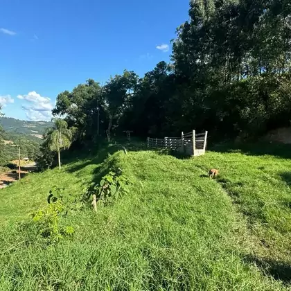 Comprar - Área para plantio