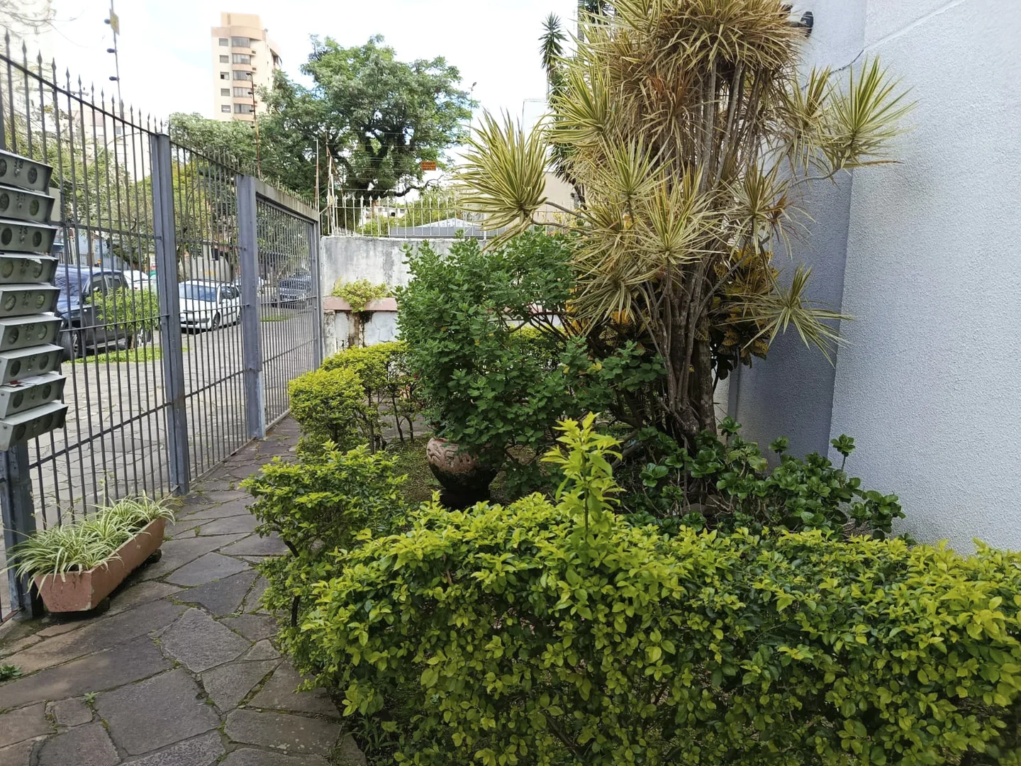 Alugar - Apartamento