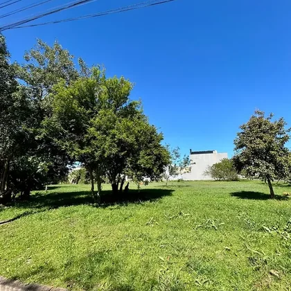 Alugar - Casa
