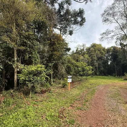 VENDE-SE ÁREA DE 3.000M² EM NOSSA SENHORA DO CARMO
