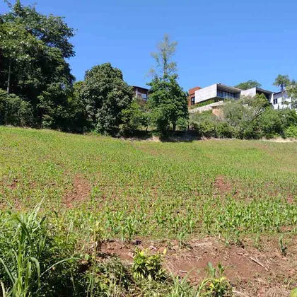 Venda - Terreno