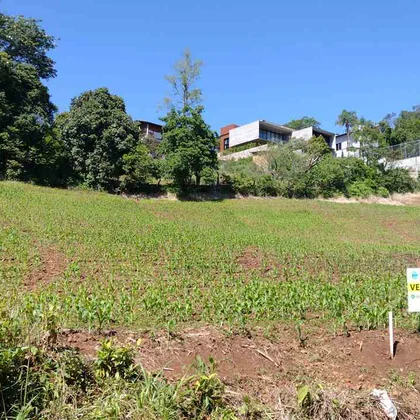Venda - Terreno