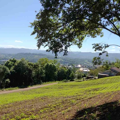 Venda - Terreno