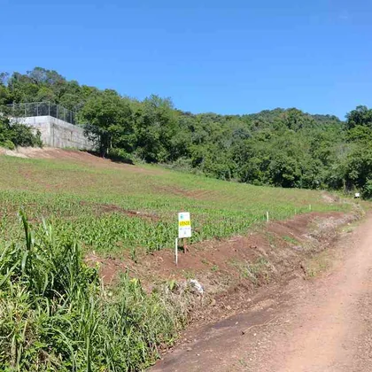 Venda - Terreno