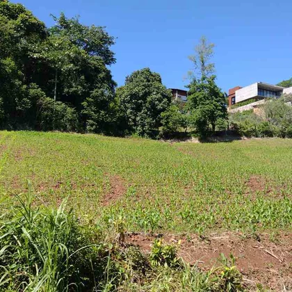 Venda - Terreno
