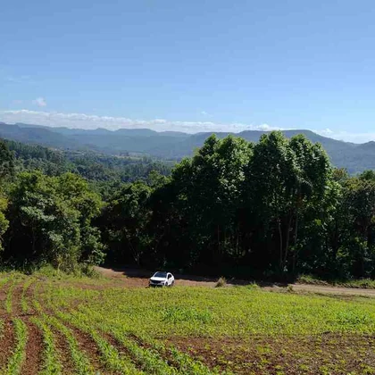 Venda - Terreno