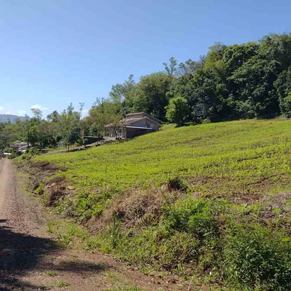Venda - Terreno