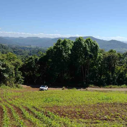 Venda - Terreno