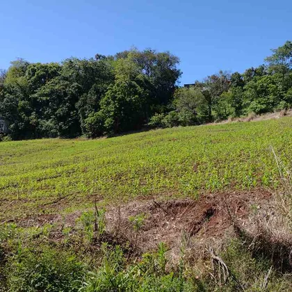 Venda - Terreno