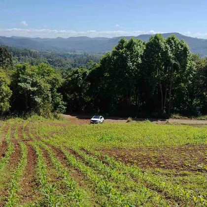 Venda - Terreno