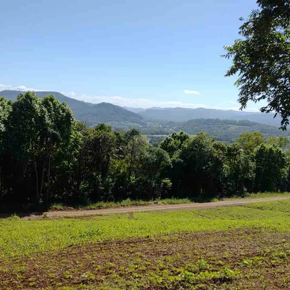 Venda - Terreno
