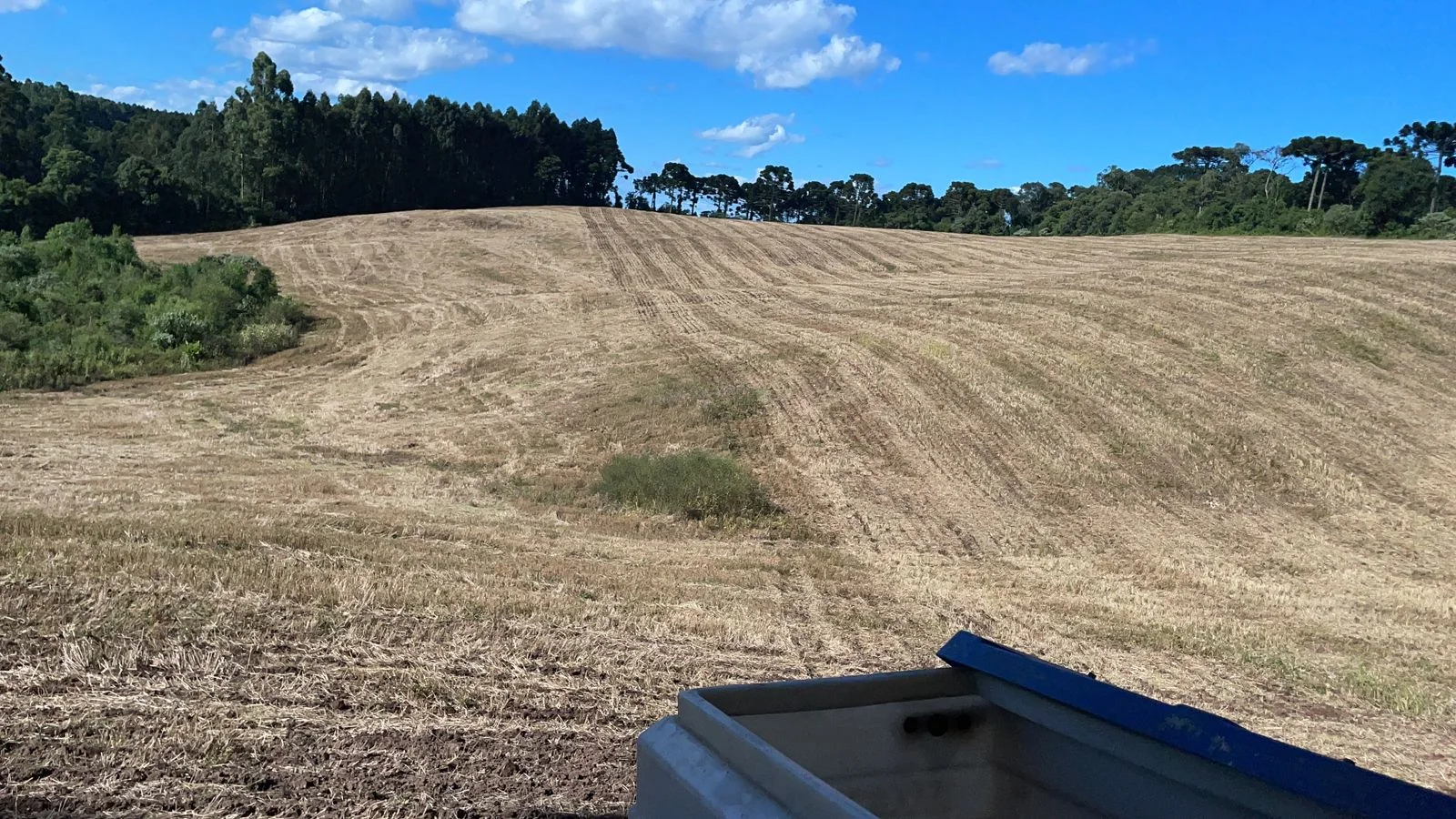 Comprar - Fazenda