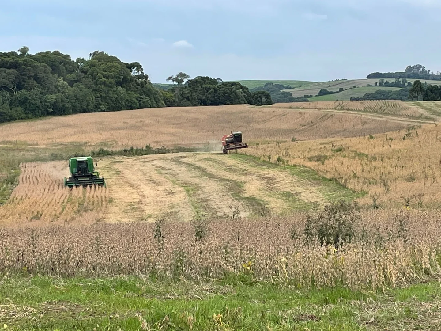 Comprar - Fazenda