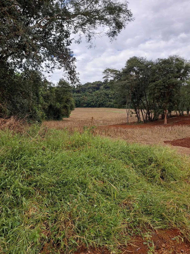 Comprar - ÁREA RURAL