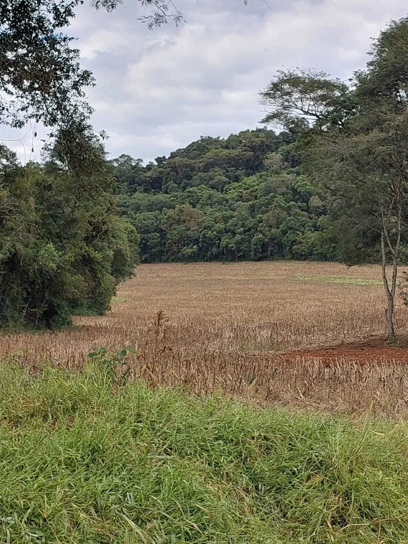 Comprar - ÁREA RURAL