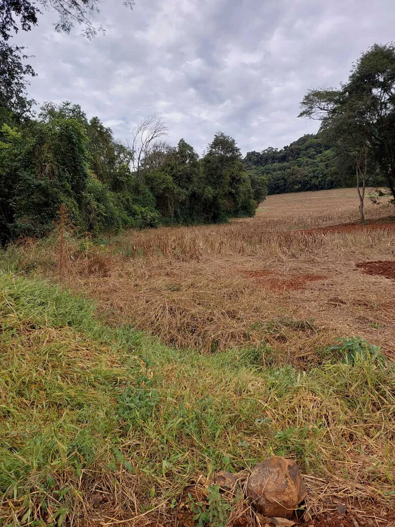 Comprar - ÁREA RURAL