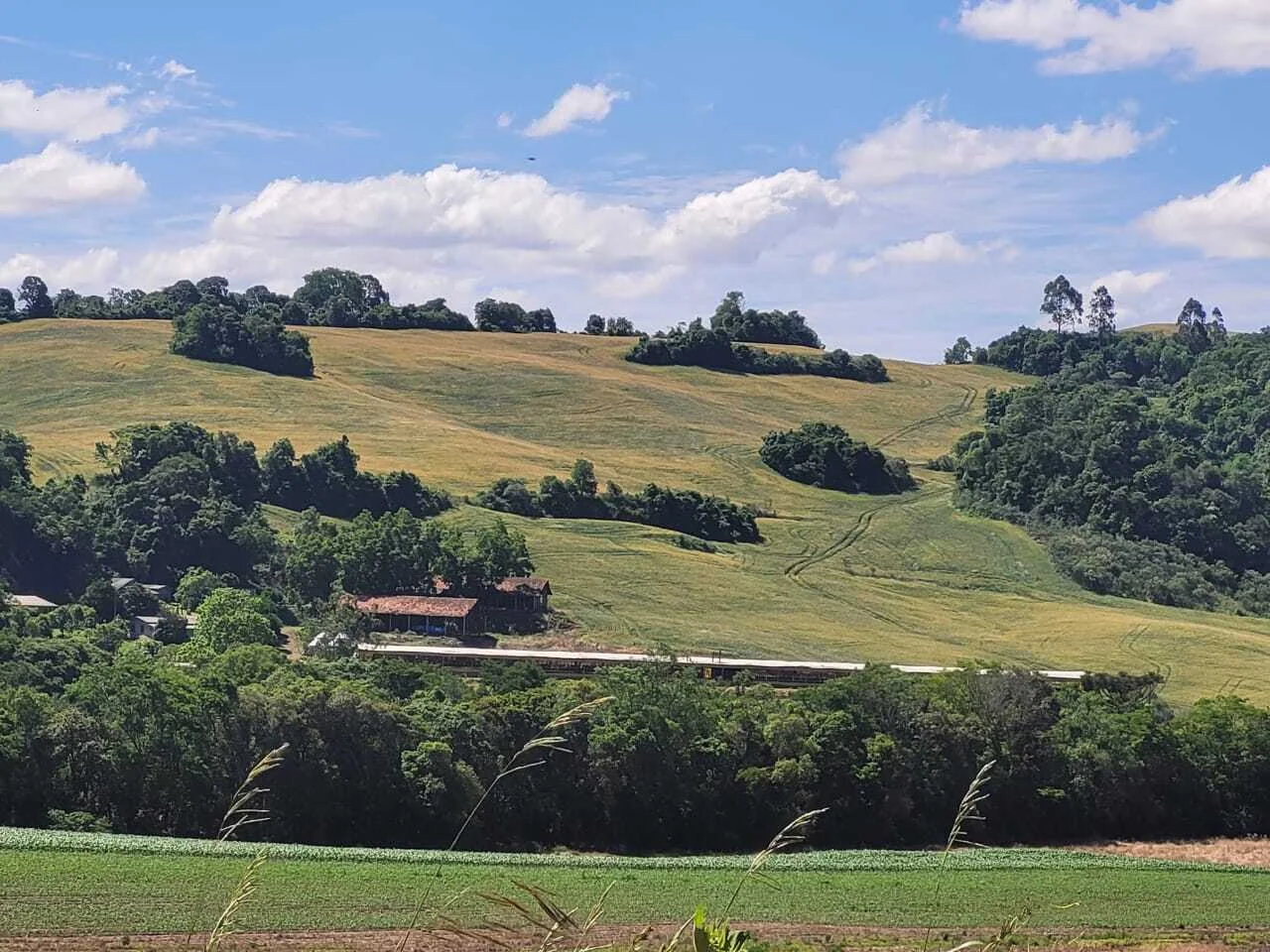 Comprar - ÁREA RURAL Comprar - ÁREA RURAL