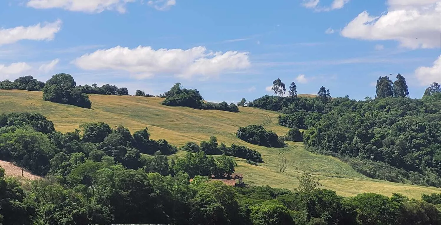 Comprar - ÁREA RURAL Comprar - ÁREA RURAL