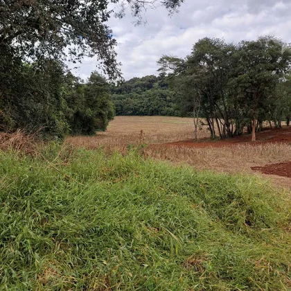 Comprar ÁREA RURAL