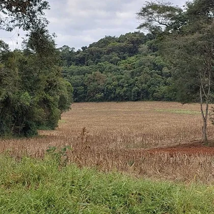 Comprar - ÁREA RURAL