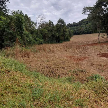 Comprar - ÁREA RURAL