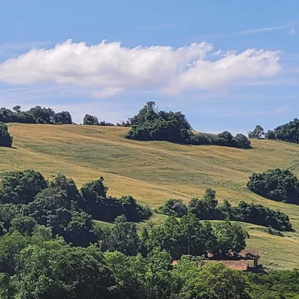 Comprar - ÁREA RURAL