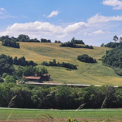 Comprar ÁREA RURAL