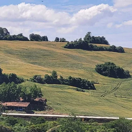 Comprar - ÁREA RURAL