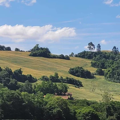 Comprar - ÁREA RURAL
