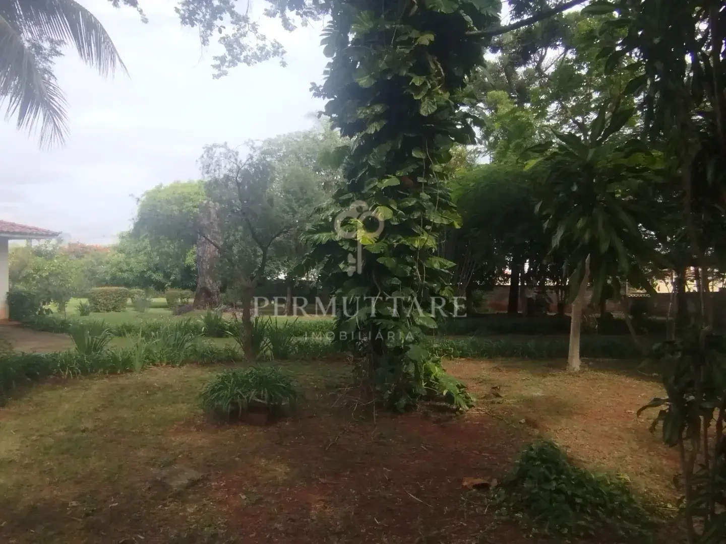 ÁREA À VENDA  8.000 m²— CHÁCARA PRIMAVERA — CAMPINAS/SP — Miniatura 6