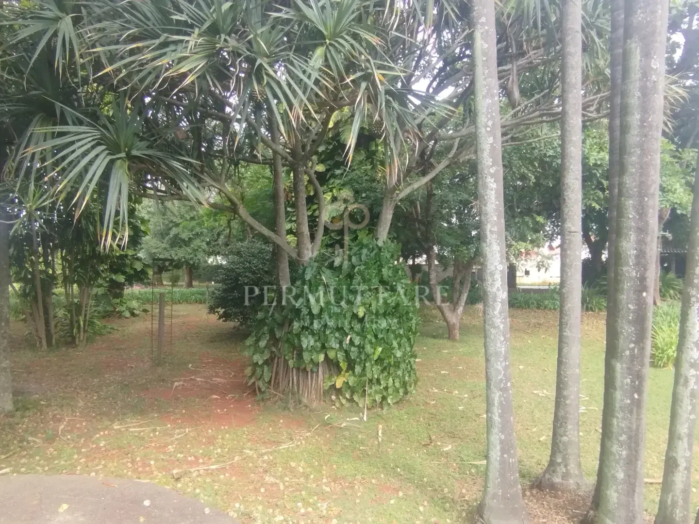 ÁREA À VENDA  8.000 m²— CHÁCARA PRIMAVERA — CAMPINAS/SP — Miniatura 9