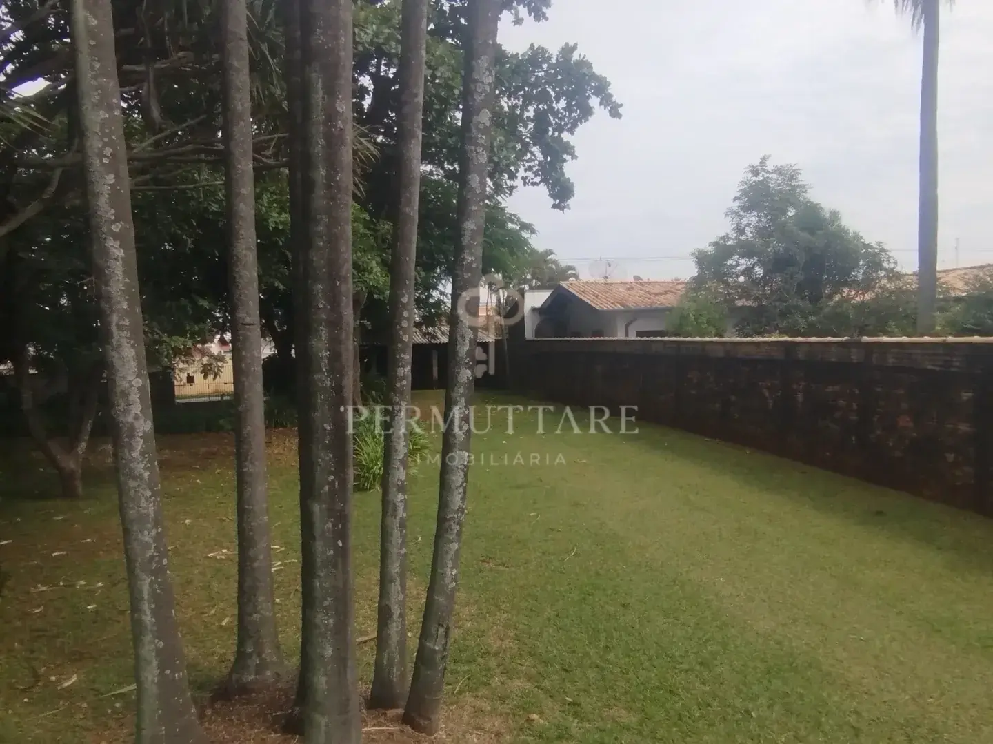 ÁREA À VENDA  8.000 m²— CHÁCARA PRIMAVERA — CAMPINAS/SP — Miniatura 2