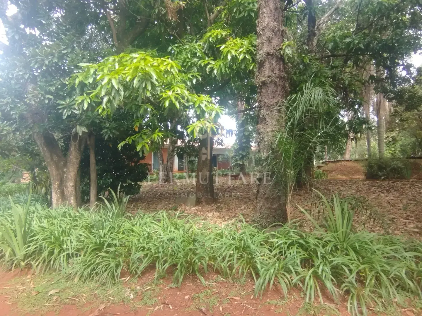 ÁREA À VENDA  8.000 m²— CHÁCARA PRIMAVERA — CAMPINAS/SP — Miniatura 17