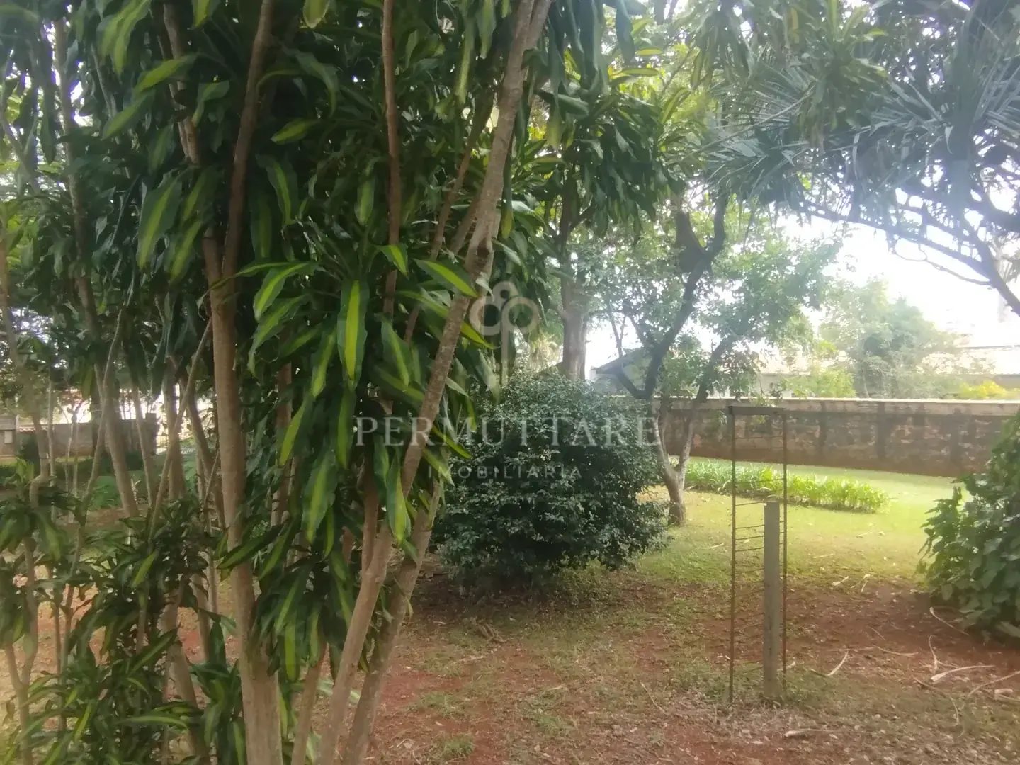 ÁREA À VENDA  8.000 m²— CHÁCARA PRIMAVERA — CAMPINAS/SP — Miniatura 5